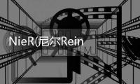 NieR(尼尔Reincarnation游戏)