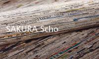 SAKURA SchoolSimulator樱花校园模拟器2025最新版本