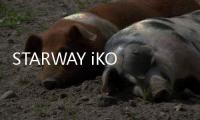 STARWAY iKON官方版