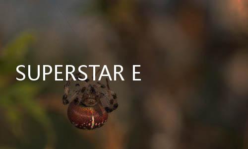 SUPERSTAR EBiDAN最新版下载