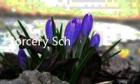 Sorcery School游戏