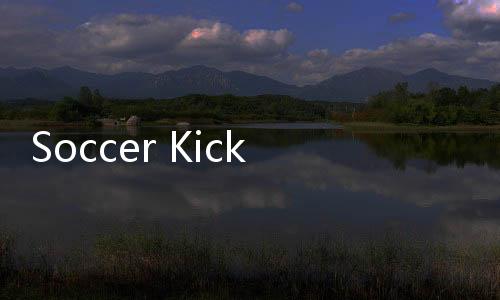 Soccer Kick(飞翔的足球安卓版)下载