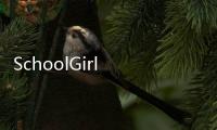 SchoolGirl AI - 3D Multiplayer Sandbox Simulator少女学园AI模拟器汉化版