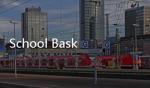 School Basket下载下载