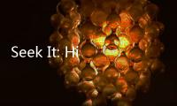 Seek It: Hidden Object Hunt寻找它隐藏物品搜寻