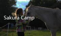 Sakura Campus Simulator破解版