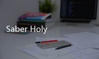 Saber Holy Sword Rider Belt假面骑士圣刃豪华版模拟器手机版