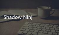 Shadow Ninja忍者修炼模拟器