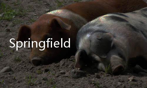 Springfield下载下载
