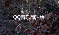 QQ音乐简洁版