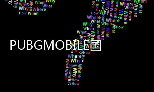 PUBGMOBILE国际版下载