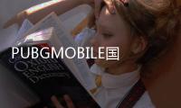 PUBGMOBILE国际版