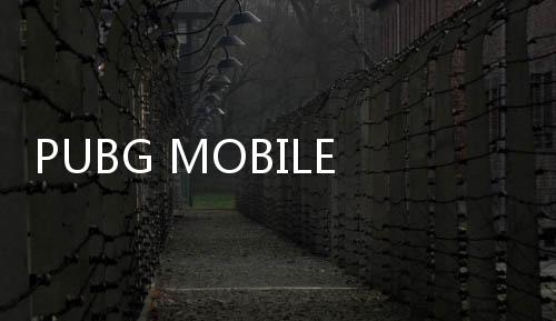 PUBG MOBILE国际服兼容包手游下载