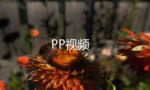 PP视频下载
