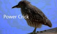 Power Cricket T20下载