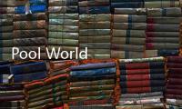 Pool World Tour(台球世界)
