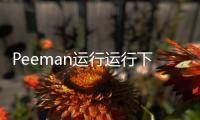 Peeman运行运行下载
