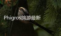 Phigros鸽游最新版