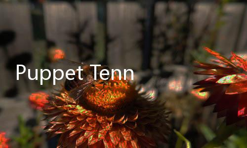 Puppet Tennis-Forehand topspin下载下载