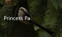 Princess Palace: Royal Puppy下载