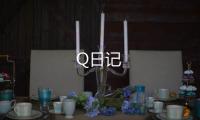 Q日记
