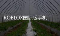 ROBLOX国际版手机版最新版本