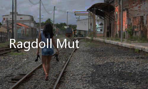 Ragdoll Mutilate 3D布偶残害沙盒3D下载