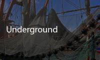 Underground Waifus TCG最新版