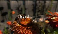 Ucast
