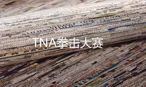 TNA拳击大赛下载