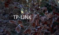 TP-LINK
