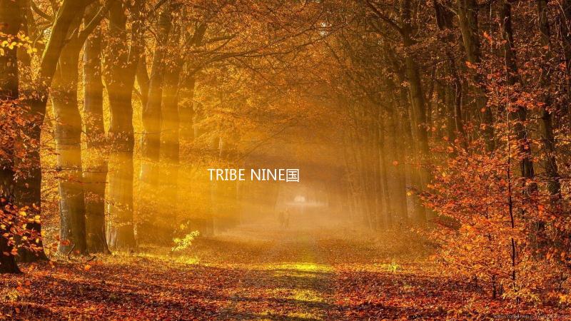 TRIBE NINE国际服下载