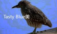 Tasty Blue美味深蓝正版