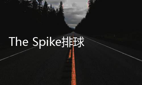 The Spike排球游戏手机版下载