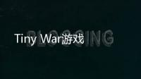 Tiny War游戏