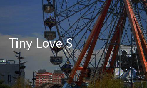 Tiny Love Story安卓版下载
