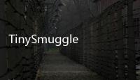 TinySmugglerRemake手机游戏