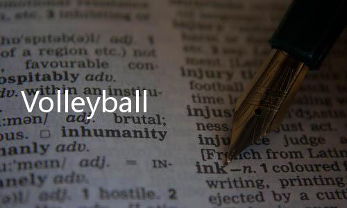 Volleyball Championship2023 游戏下载