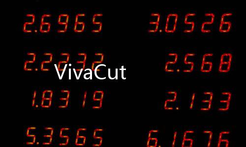 VivaCut下载