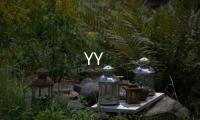 YY