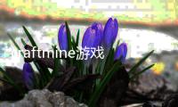 craftmine游戏