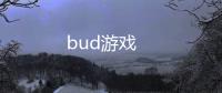 bud游戏