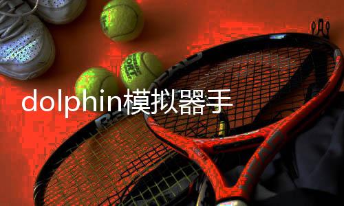dolphin模拟器手机汉化版(DolphinEmulator)下载