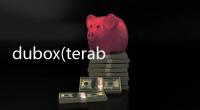 dubox(terabox app)