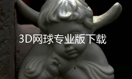 3D网球专业版下载下载