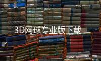 3D网球专业版下载