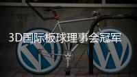 3D国际板球理事会冠军杯赛