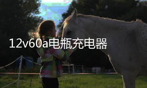 12v60a电瓶充电器汽车摩托车充电机全铜24v通用快速大功率蓄电池下载
