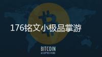 176铭文小极品掌游