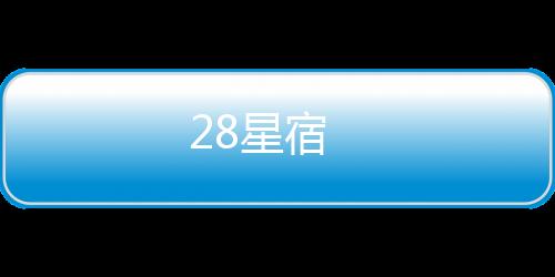28星宿下载